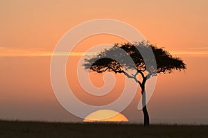 Sunset in africa photo